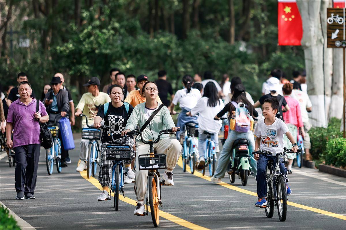 转转官网网页版登入